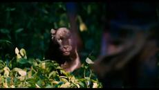 We've got it - Videoclip.bg