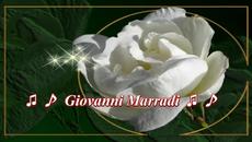 ✿♫ ♪ White Rose   ... ...  (music Giovanni Marradi) ✿ ♫ ♪ - Videoclip.bg
