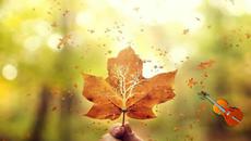 ✿♫♪Autumn Leaves ... ...  Andre Rieu ... ✿♫♪ - Videoclip.bg