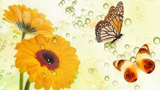 ✿⊱•В една капка! ... ... (music Giovanni Marradi) ... ...✿⊱• - Videoclip.bg