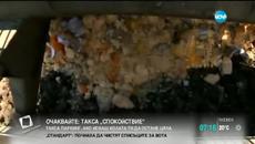 Хиляди хора се подписаха срещу унищожаването на храни в Русия - Videoclip.bg