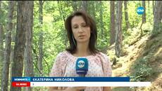 Спасиха изгубилите се в Рила туристи - Videoclip.bg