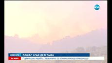 Голям пожар гори край Драгоман - Videoclip.bg