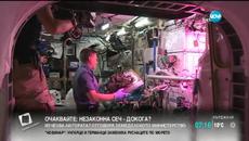 Астронавти отгледаха марули при изкуствена гравитация в космоса - Videoclip.bg
