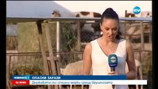 Нови случаи на болни от бруцелоза - Videoclip.bg