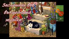 *•.¸¸.•*Заслушани във вълшебната музика! ... (paintings and pictures) ... (violin   Samvel Yervinyan) ...*•.¸¸.•* - Videoclip.bg