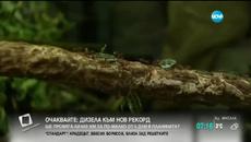 Вижте протеста на мравките в зоологическата градина в Кьолн - Videoclip.bg
