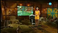 Биг Брадър (25.08.2015) Big Brother част 1 - Videoclip.bg