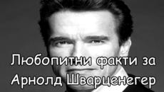 Любопитни факти за Арнолд Шварценегер - Videoclip.bg