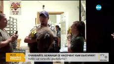 Гладно мече иска пица!!! Малко Мече влезе и се скри в пицария в Колорадо - Videoclip.bg