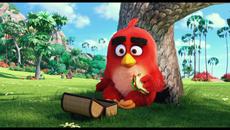 Angry Birds 2015 - Официален трейлър - Videoclip.bg