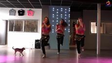 Lean On - Major Lazer - Fitness Dance Choreography - Woerden - Nederland - Harmelen - Videoclip.bg