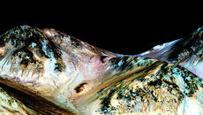'Liquid water has been found on Mars' says NASA - Учените от НАСА обявиха,че е открита течаща вода на Марс - Videoclip.bg