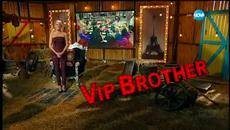 VIP Brother 2015 (13.10.2015) - Епизод 23 (Цял Епизод) (1) - Videoclip.bg
