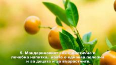 5 любопитни факта за мандарините - Videoclip.bg