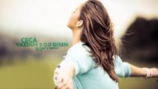 Ceca - Vazduh koji disem (Jovica's Remix 2015)- Въздухът,който дишам!! - Videoclip.bg