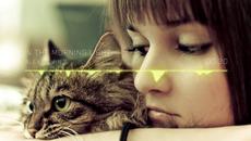Весели празници 2015 !!! Alex Schulz - In the Morning Light (remix) - Videoclip.bg