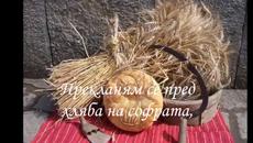 Поклон пред хляба - Videoclip.bg
