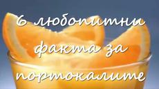 6 любопитни факта за портокалите - Videoclip.bg