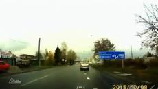 Кучета на пешеходна пътека - Videoclip.bg