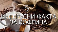 5 интересни факта за кофеина - Videoclip.bg