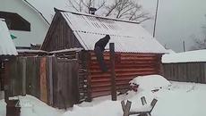 Опасен спорт - Videoclip.bg