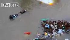 Майчината обич няма граница дори и при животните! Женско куче спасява малките си по време на потоп! - Videoclip.bg