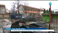 След силния вятър села останаха без ток, паднали дървета - Videoclip.bg