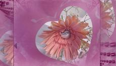 ❀Разноцветна пролет ... ... (music Richard Abel - piano) ... ... ❀ - Videoclip.bg