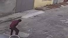 1г. и 4 месеца - Мъж от Варна отива в затвора за убийство на котка - Videoclip.bg