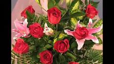 Международен ден на жената (International women's day) - Честит празник - Videoclip.bg