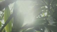 LIBERTA - Videoclip.bg