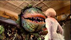 откъс от филма " Малкото магазинче на ужасите " = мюзикъл класика (1986) Little Shop Of Horrors - Suppertime (Reprise) - Videocl