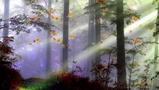 Антнио Вивалди Antonio Vivaldi Autumn - Videoclip.bg