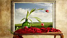 ✿Светът на лалетата! ... ... (Yakuro  music) ... ...✿ - Videoclip.bg