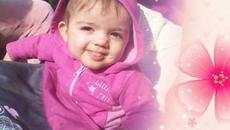 Presy VideoSlide - Videoclip.bg