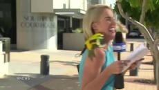 В ЕФИР: Папагал кацна на рамото на репортерка (видео) Reporter's reaction to bird landing on her shoulder - Videoclip.bg