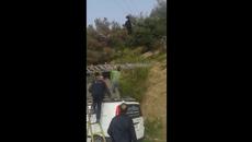Козле, увисна с рогата си от електрически жици ....спасиха го добри хора (ВИДЕО) - Videoclip.bg