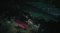 Кралицата на нощта - 12 епизод bg sub 6-7 - Videoclip.bg