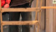Suzana Jovanovic - Prosjaci ljubavi - Videoclip.bg