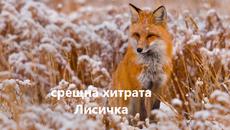 Другари   - Videoclip.bg