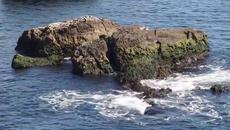 Морето руши брега - България губи годишно по 25 дка от морския бряг заради абразия (ВИДЕО) - Videoclip.bg