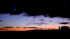 Feeling Good - Avicii - A new Beginning HD - Videoclip.bg