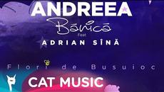 Andreea Banica feat. Adrian Sina - Flori de Busuioc (Graphic Video) - Videoclip.bg