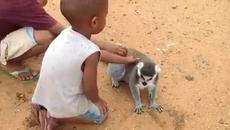 Има един, който знае какво иска! - Videoclip.bg