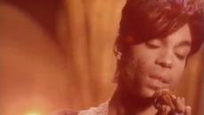 Почина поп идолът Принс ! Rip Prince - Gold   - Videoclip.bg