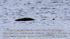 Любопитни факти за чудовището от Лох Нес В Шотландия всъщност било лебед - Videoclip.bg