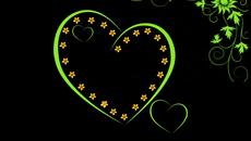 ☼✿✨Слънчеви звезди! ... (Nicolas de Angelis music) ... ...☼✿✨ - Videoclip.bg