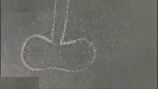 Австралийски фермер подреди овцете си във формата на фалос и ги засне с помощта на дрон - Videoclip.bg