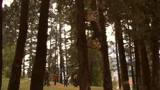 Заден въртеж с голяма инерция - Videoclip.bg